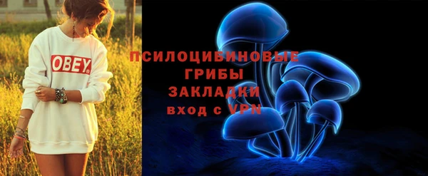 круглые Алексеевка