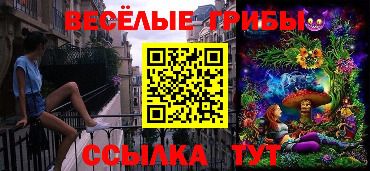 Псилоцибиновые грибы Cubensis Беслан